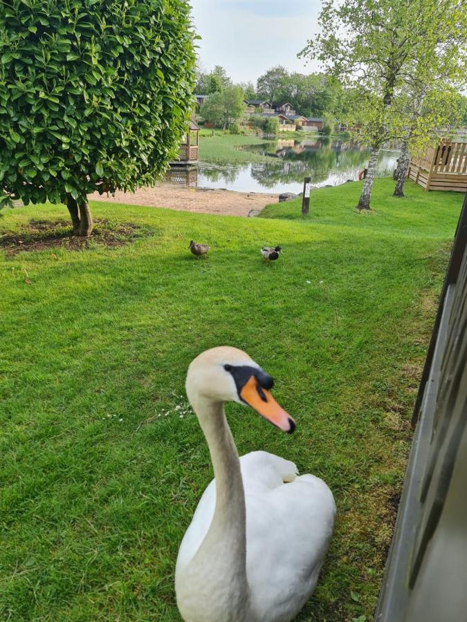 Warton 4 Bed Luxury Lodge With Hot Tub Near Lake District מראה חיצוני תמונה